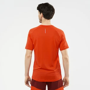 Herren T-Shirt Salomon Cross Run SS Tee Fiery Red