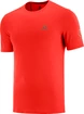 Herren T-Shirt Salomon  XA Trail Tee M Goji Berry