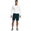 Herren T-Shirt Under Armour HeatGear Comp LS White