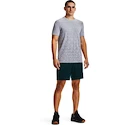 Herren T-Shirt Under Armour  Seamless Wordmark SS Grey