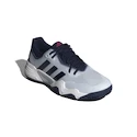 Herren Tennisschuhe adidas Solematch Control 2 Clay Halo Blue