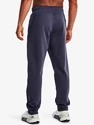 Herren Trainingshose Under Armour  Fleece Pant-GRY