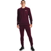 Herren Trainingshose Under Armour  Terry Pant Red