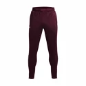 Herren Trainingshose Under Armour  Terry Pant Red