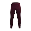 Herren Trainingshose Under Armour  Terry Pant Red XL