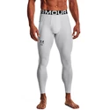 Herren Unterhose Under Armour HeatGear HG ARMOURPRINT Lgs-GRY