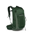 Herrenrucksack OSPREY TALON 22 green canopy/pine leaf