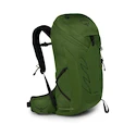 Herrenrucksack OSPREY TALON 26 green belt/black