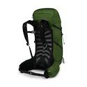 Herrenrucksack OSPREY TALON 33 green belt/black