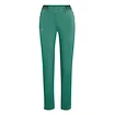 Hosen für Frauen Salewa  Pedroc 3 DST Feldspar green 36