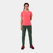 Hosen für Frauen Salewa  Puez DST Raw Green