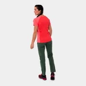 Hosen für Frauen Salewa  Puez DST Raw Green