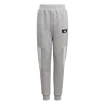 Jogginghose für Jungen adidas  Future Icons 3-Stripes Tapered-Leg Pants Medium Grey Heather