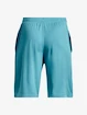 Jungen Shorts Under Armour  Prototype 2.0 Logo Shorts-BLU