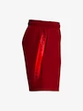 Jungen Shorts Under Armour  Woven Graphic Shorts-RED