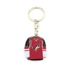 Key Ring JF Sports Canada  NHL Arizona Coyotes