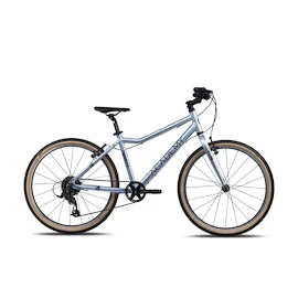 Kinder Fahrrad Academy Grade 5 Edition - FUNtasy Silver