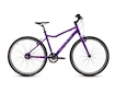 Kinder Fahrrad Academy  Grade 6 Belt - 26" Purple