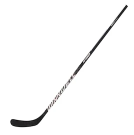 Komposit-Eishockeyschläger WinnWell 1100 Senior