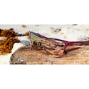 Sport Brille Tifosi  Sizzle Crystal Peach Blush Pink Mirror