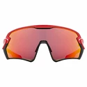 Sport Brille Uvex  Sportstyle 231 Red