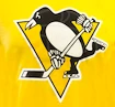 T-Shirt 47 Brand Splitter Tee NHL Pittsburgh Penguins