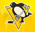 T-Shirt 47 Brand Splitter Tee NHL Pittsburgh Penguins