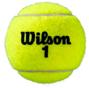 Tennisbälle Wilson  Roland Garros Clay (3 Pack)