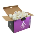 Tischtennisbälle Joola  Magic ABS 40+ White (72 Pack)